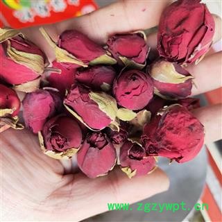 月季花 月季花大朵统货 产地 山东省图2