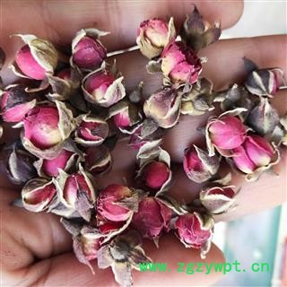 玫瑰花 山东玫瑰王 产地 云南省图2