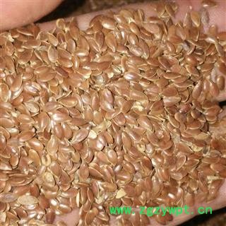 胡麻仁 选 亚麻籽 产地 内蒙古   德誉堂药业批发各种中药材图3