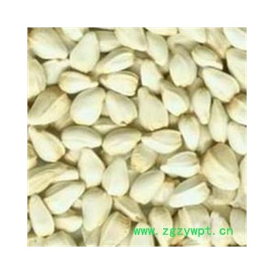 红花子 选 产地  今年新货 无虫蛀霉变  新疆维吾尔自治区