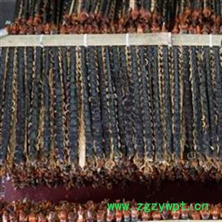 蜈蚣 不拼接 蜈蚣中条选货12-14cm 产地 湖北省图2