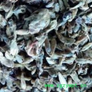 葛花 葛花  产地 广西壮族自治区图2