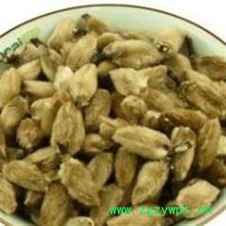 精品选货辛夷花 质量好价格低 产地直销图2