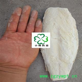 海螵蛸 鱼骨 选大个 新货 颜色好 产地 广西壮族自治区图2