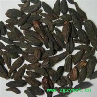 德誉堂药业 西青果 选 藏青果 产地 四川省图3