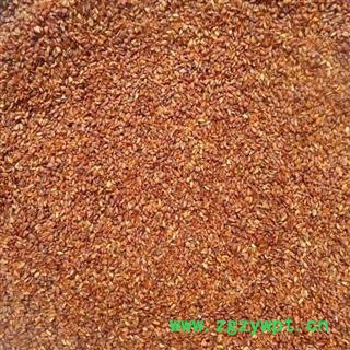 荞麦 选荞麦  本店批发零售各种规格中药材 花茶 产地 湖北省图3