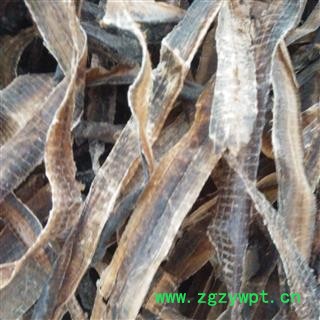 地龙 广地龙半开个 泥沙残极少   产地 广西壮族自治区图2