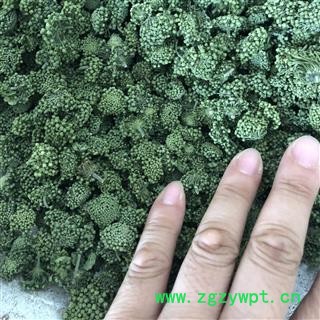 三七花 两年生三七花无柄小选货 产地 云南省图2