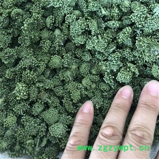 三七花 两年生三七花无柄小选货 产地 云南省图4