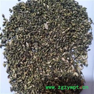 槐花 产地直销槐米新货颜色好，货干净 统货 产地 山东省图4