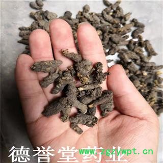 天葵子 天葵子 别称 紫背天葵根 天葵草 千年老鼠屎 金耗子 产地 陕西图2