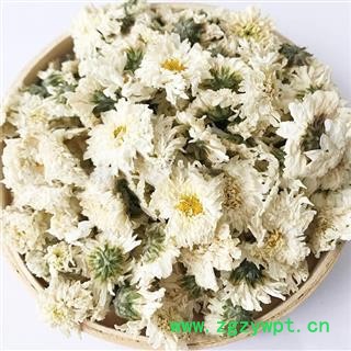 贡菊花 太阳菊 选货 精品大朵 茶用无碎瓣图4
