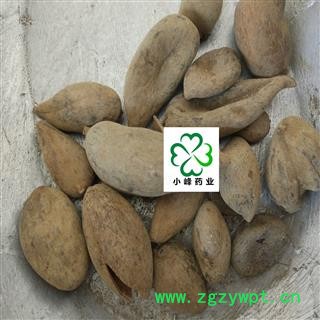 五倍子 新货 选大个 无虫蛀 产地 四川省图2