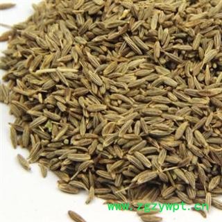 孜然 选孜然 批发中药材 香料 花茶 矿石 产地  广西壮族自治区图2