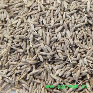 孜然 选孜然 批发中药材 香料 花茶 矿石 产地  广西壮族自治区图3