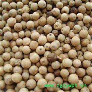 白胡椒 精品 今年新货 无虫蛀无霉变 味道浓郁 产地 广西壮族自治区图2
