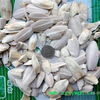 海螵蛸 海螵蛸粉末 纯净无杂质 假一赔十 白色 产地 广西壮族自治区图2