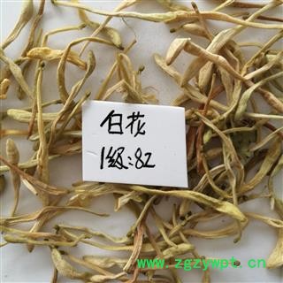 金银花 金银花白花统货 产地 河南省图2