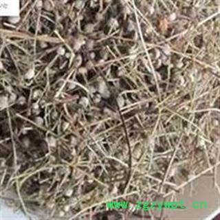 正品好统装新货谷精草 新货颜色好 产地 湖南图2