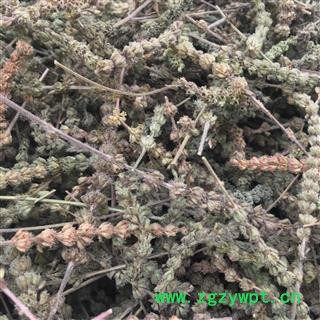 荆芥穗 荆芥穗选货 纯青 新货 气味大 低价冲销量产地 河北省图2