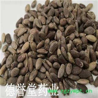 瓜蒌子 选 瓜蒌子 产地 安徽 德誉堂药业批发各种中药材图3