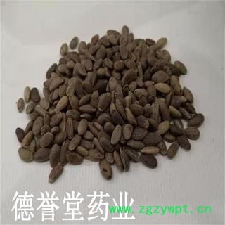 瓜蒌子 选 瓜蒌子 产地 安徽 德誉堂药业批发各种中药材图4