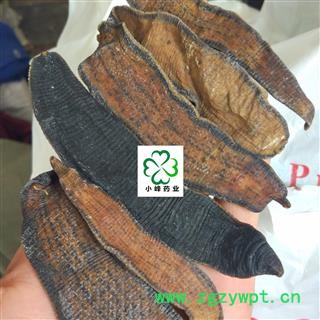 水蛭 大选水蛭 如图 新货 颜色好 纯干  产地 江苏省图2