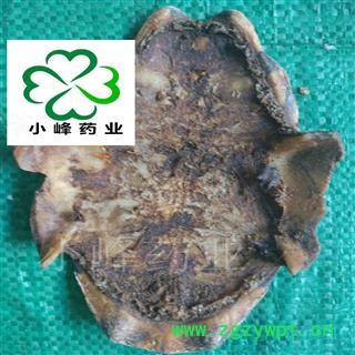 龟甲 制旱龟板 新货 统货 纯干货 小峰药业 重在品质 产地 湖北省图2
