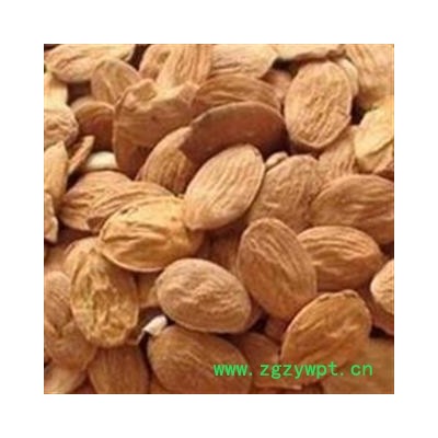 扁桃仁 扁桃仁统货   产地 山东省