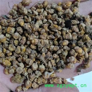 新到好货野菊花颗粒货，发货前过筛，干净无杂质图2