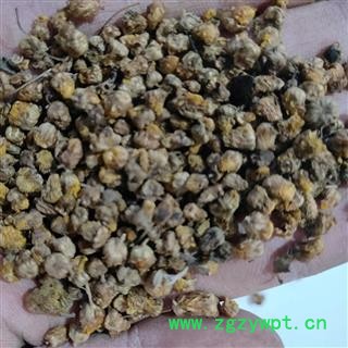 新到好货野菊花颗粒货，发货前过筛，干净无杂质图3
