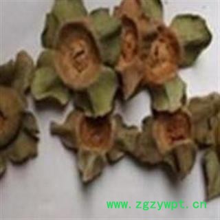 柿蒂 老柿蒂选货 产地 山东省图2