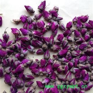 玫瑰花 甘肃苦水玫瑰王 产地 甘肃省图2