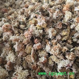 菊花 精品菊花 新货颜色好 有大货 新店上线 价格低 规格齐全 产地 河北省图2