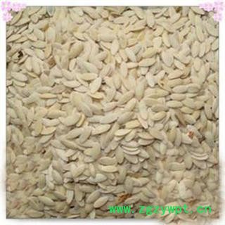 德誉堂药业黄瓜子 选 黄瓜子 产地 山东图2