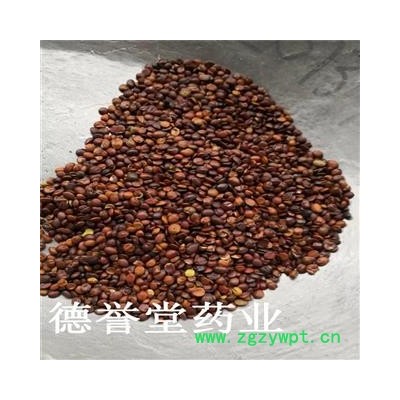 德誉堂药业酸枣仁 统 国产酸枣仁 产地 山东