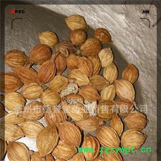 批发  香砂 开口香砂  德誉堂药业批发零售各种中药材图2