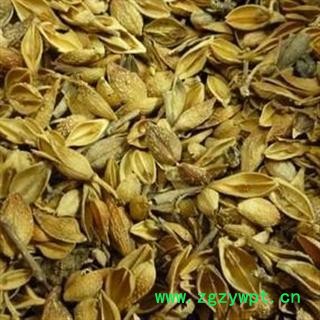 黄翘 统 老翘 黄连翘  本店批发各种中药材 产地 山西省运城市绛县图3