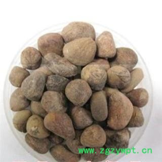 大风子 选 大枫子 批发零售各种中药材 花茶 矿石 产地 广西壮族自治区防城港市上思县图3