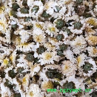 菊花 产地直销新货正品贡菊花选货，颜色好味道纯正假一赔万 产地 安徽省黄山市图4