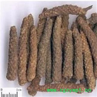 荜茇 选 荜拨 批发中药材 花茶 产地 广西壮族自治区钦州市浦北县图3