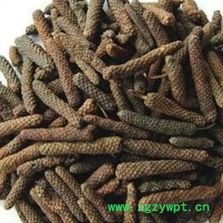 荜茇 选 荜拨 批发中药材 花茶 产地 广西壮族自治区钦州市浦北县图2