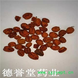 栀子 栀子仁 栀子肉 手工剥壳 德誉堂批发各种中药材图3