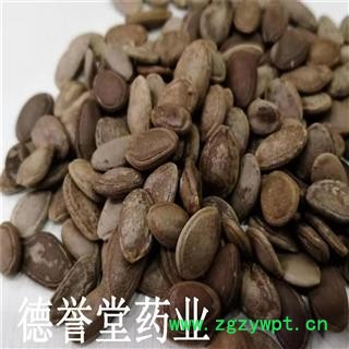 瓜蒌仁 瓜蒌籽 大瓜蒌子 产地 河北省 德誉堂批发各种中药材图4