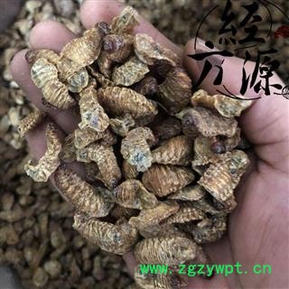 蛴螬A 蛴螬虫 土蚕老母虫 核桃虫 粪虫图2