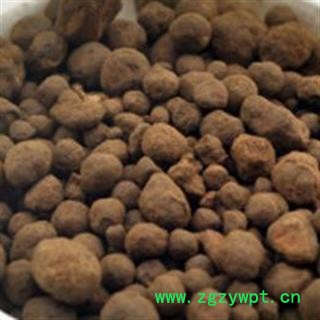 京辉药业 无名异 土子 干子 秃子 铁砂 正品 促销图3