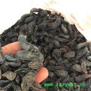 京辉药业 鼻涕虫 大蛞蝓 黄蛞蝓 野蛞蝓 产地 云南省图2