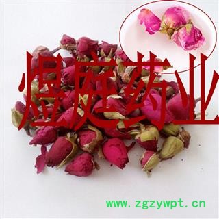 煜庭药业 月季花图4