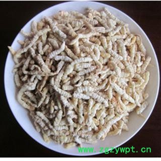 地蚕 土虫草,草石蚕,毛虫草,地蚕,毛石蚕 统 产地 安徽省亳州市谯城区图2