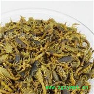 全虫 山西陕西盐水全蝎秋货 产地 山西省  双鹏药材行 可提供打粉图2